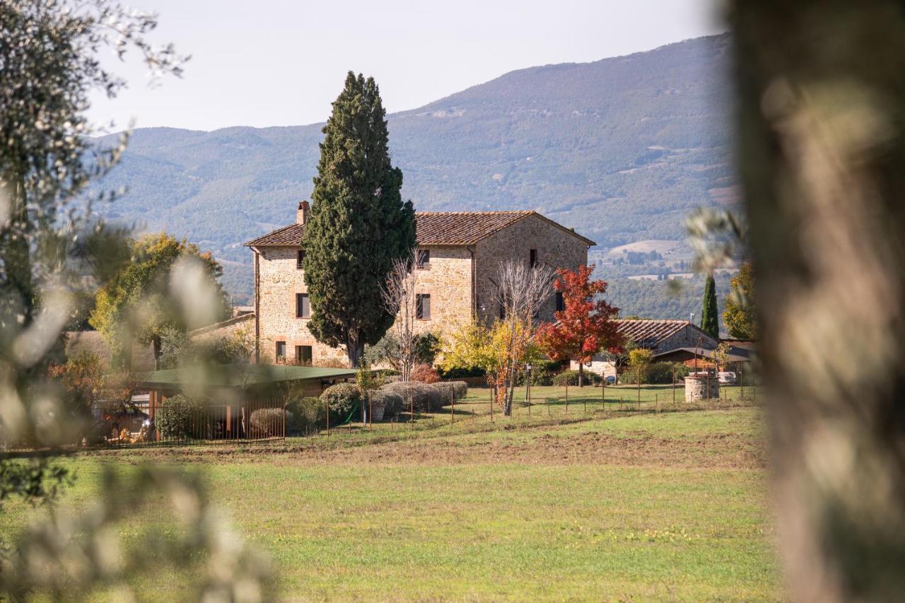 San Carlo A La Molinella Pensionat Città della Pieve Exteriör bild