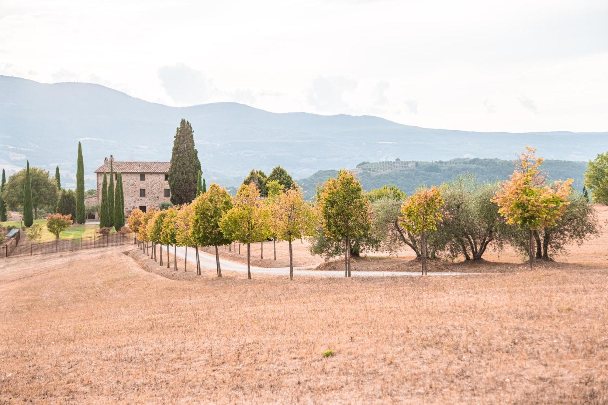 San Carlo A La Molinella Pensionat Città della Pieve Exteriör bild