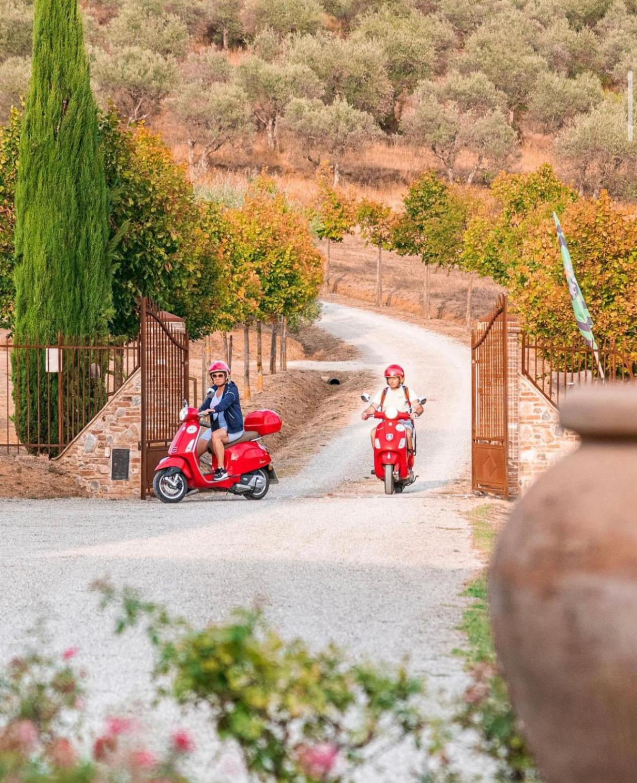 San Carlo A La Molinella Pensionat Città della Pieve Exteriör bild