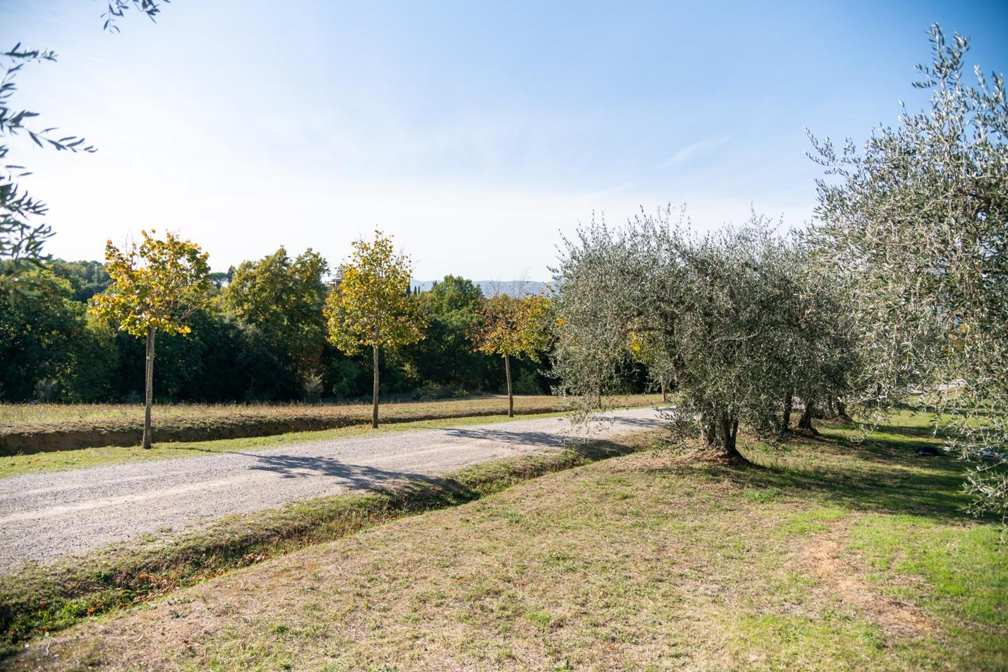 San Carlo A La Molinella Pensionat Città della Pieve Exteriör bild