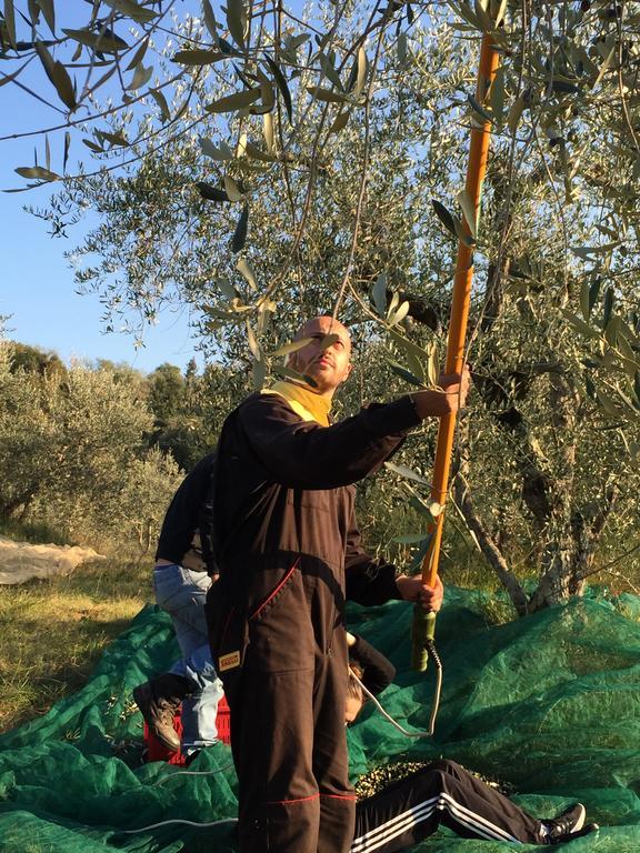 San Carlo A La Molinella Pensionat Città della Pieve Exteriör bild